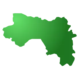 Guinea