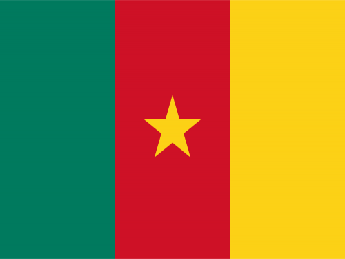 Cameroon Flag