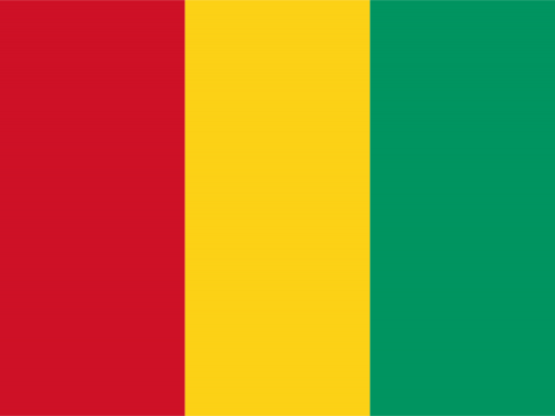 Guinea Flag