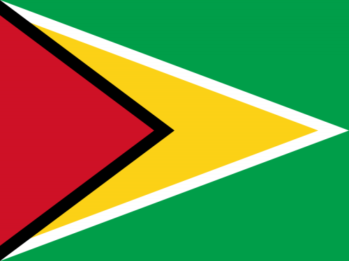 Guyana Flag