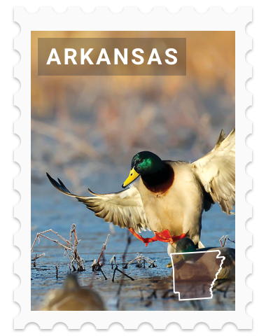 Arkansas