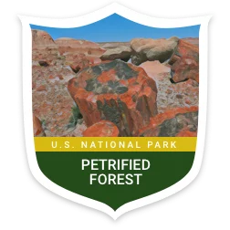 Petrified Forest National Park