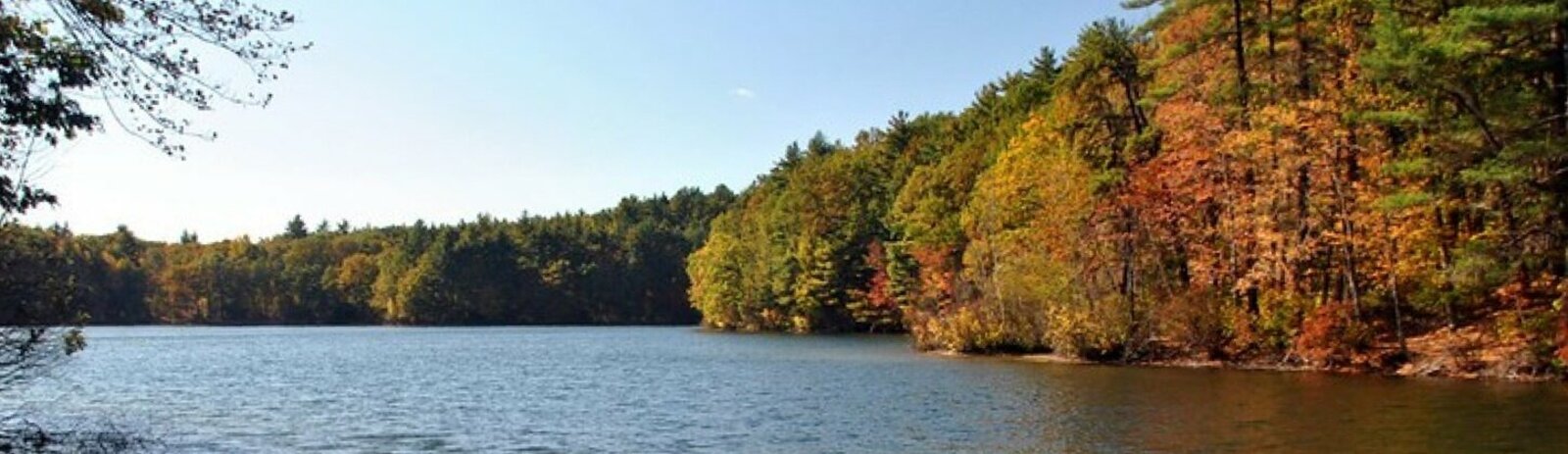 Walden Pond