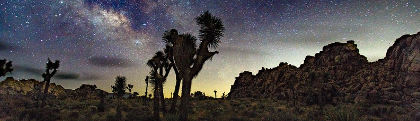 Joshua Tree National Park