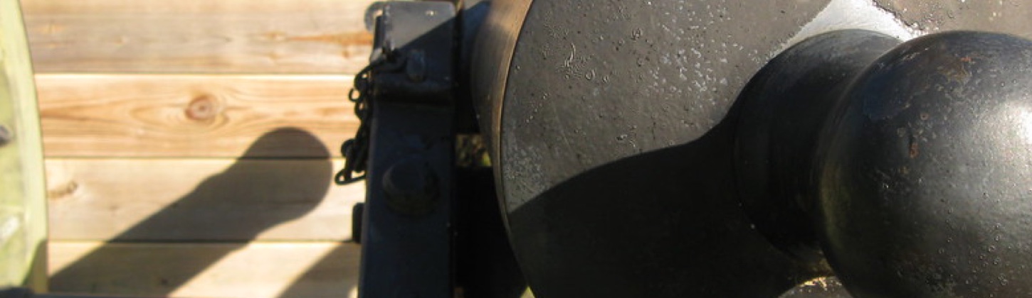 Fort Pillow State Historic Park