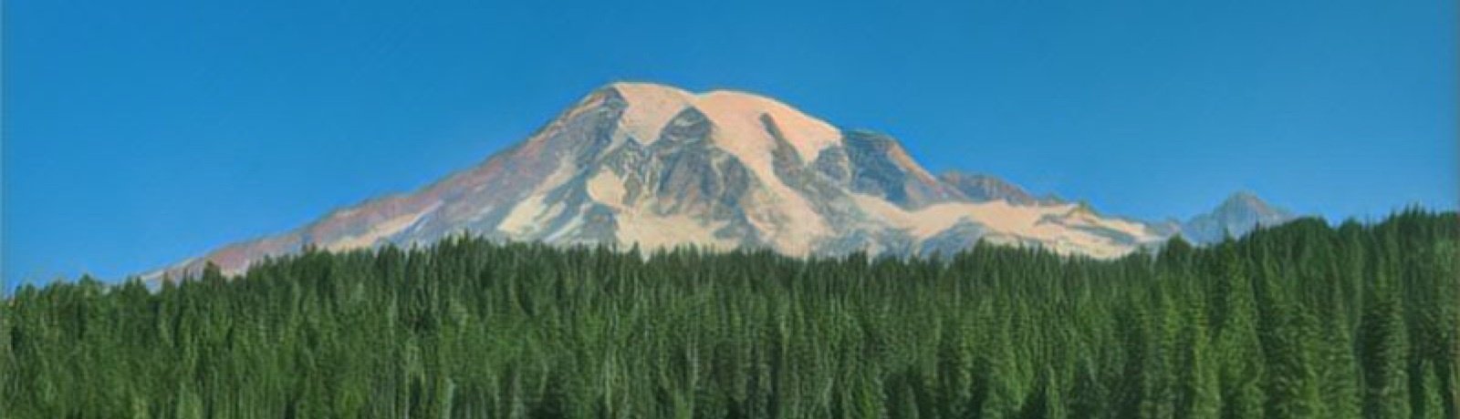 Mount Rainier National Park