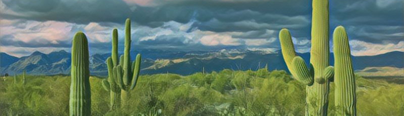 Saguaro National Park