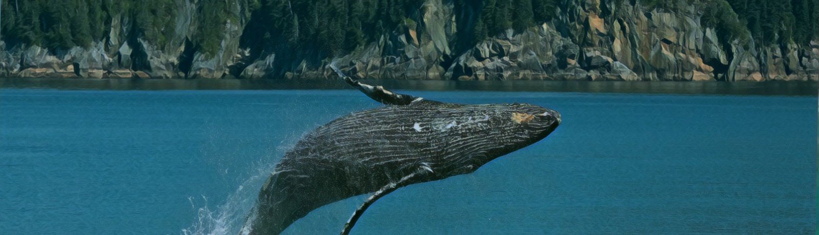 Kenai Fjords National Park