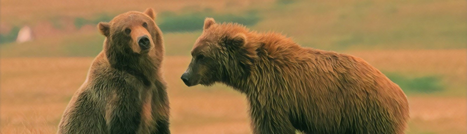 Katmai National Park