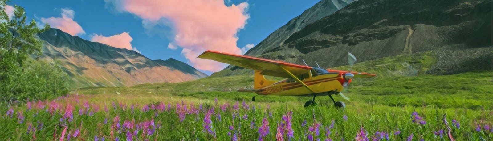 Wrangell-St. Elias National Park