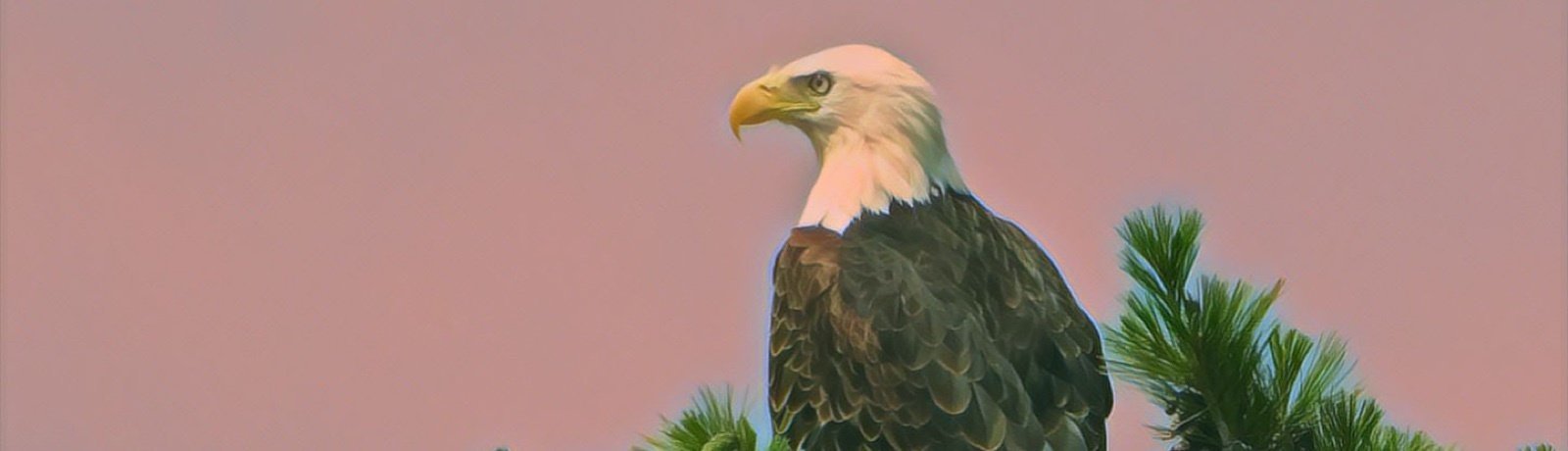 Voyageurs National Park