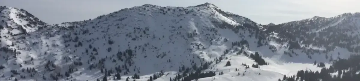 Alta