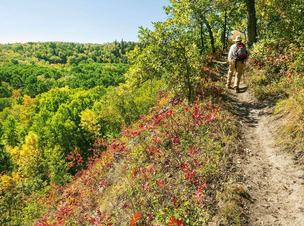 Experiencing the Amazing Fall Colours of Riding Mountain National Park